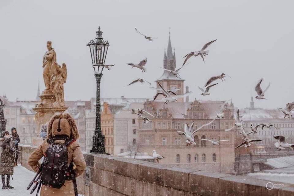 Lena Apartment Прага Экстерьер фото